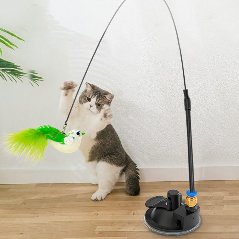 Cat Toy