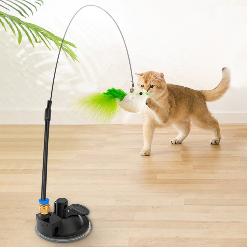 Cat Toy